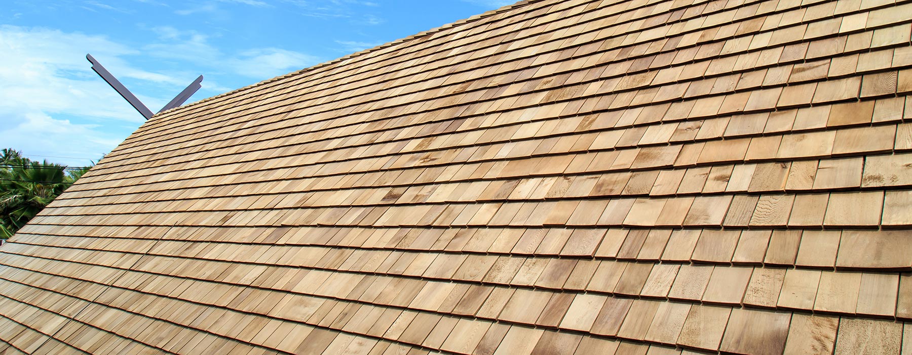 Cedar Shingles South Pacific Timber