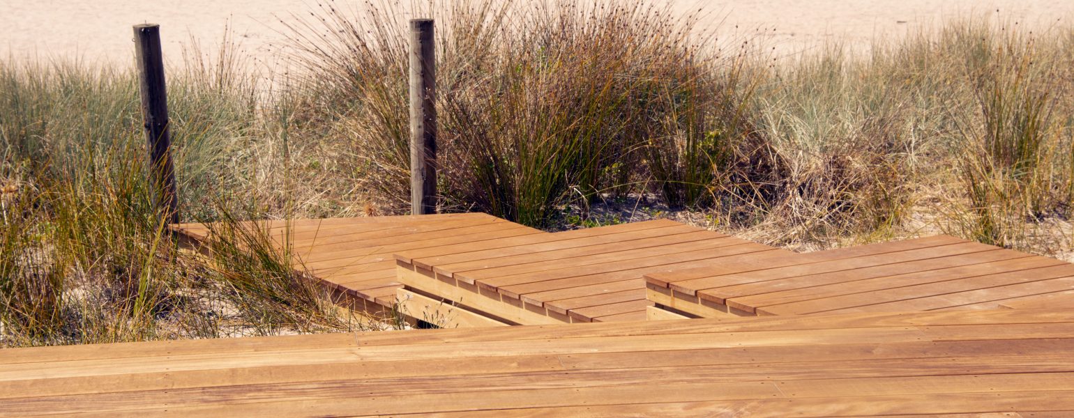 Articles | South Pacific Timber